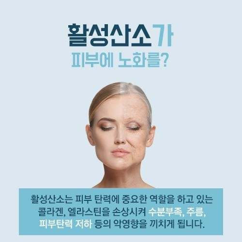 활성산소에 의한 피부 노화 현상과 방어전략