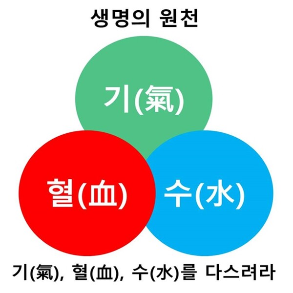 세월의 무게를 내동댕이 치는 기(氣), 혈(血), 수(水)